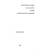 Referāts 'Cietā diska aprūpe', 2.