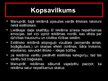 Prezentācija 'Ētikas un estētikas aspektu atspoguļojums CSDD reklāmas kampaņā "No vadītāja līd', 17.