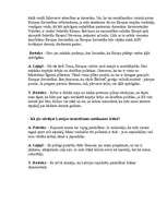 Referāts 'Karš Irākā', 12.