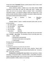 Referāts 'Vizuālā reklāma', 4.