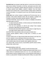 Referāts 'Vizuālā reklāma', 9.