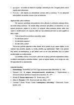 Referāts 'Vizuālā reklāma', 11.