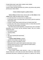 Referāts 'Vizuālā reklāma', 13.