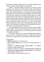 Referāts 'Vizuālā reklāma', 14.