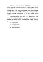 Referāts 'Privāttiesību raksturojums', 5.