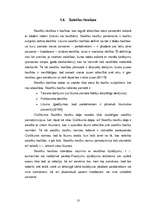 Referāts 'Privāttiesību raksturojums', 13.