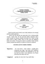 Referāts 'Franku sabiedrība saliešu likumā ', 9.