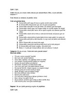 Konspekts 'Luga "Sniegavīrs"', 3.