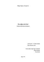 Referāts 'Enerģijas dzērieni', 1.