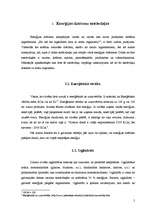 Referāts 'Enerģijas dzērieni', 5.