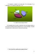 Referāts 'Enerģijas dzērieni', 21.