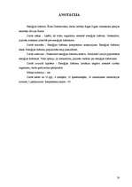 Referāts 'Enerģijas dzērieni', 28.