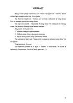 Referāts 'Enerģijas dzērieni', 29.