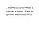 Eseja 'Māksla, tās nozīme cilvēku dzīvē', 4.