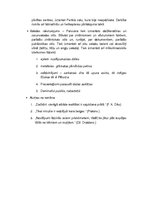 Konspekts 'G.Lindsas romāna "Zelta bibliotēka" analīze', 2.