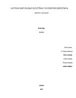 Referāts 'Baterijas', 1.