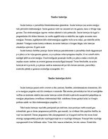 Referāts 'Baterijas', 9.