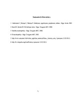 Referāts 'Baterijas', 13.