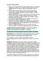 Konspekts 'Uzņēmējdarbība', 12.