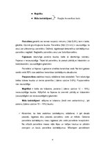 Referāts 'Keramikas izstrādājumi', 6.