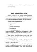 Referāts 'Keramikas izstrādājumi', 7.