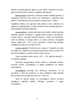 Referāts 'Keramikas izstrādājumi', 8.