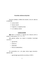 Referāts 'Keramikas izstrādājumi', 9.