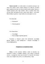 Referāts 'Keramikas izstrādājumi', 11.