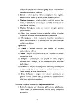 Referāts 'Keramikas izstrādājumi', 22.