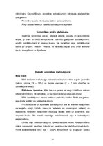 Referāts 'Keramikas izstrādājumi', 24.