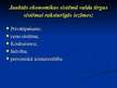Prezentācija 'Ekonomiskās sistēmas', 14.