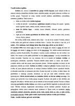 Konspekts 'Vizuālā kultūra, izglītība', 1.