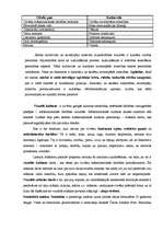 Konspekts 'Vizuālā kultūra, izglītība', 2.