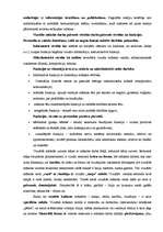 Konspekts 'Vizuālā kultūra, izglītība', 6.