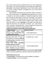 Konspekts 'Vizuālā kultūra, izglītība', 7.