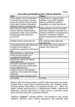 Referāts 'Uzņēmuma "Dzintars" PEST analīze', 8.