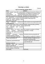 Referāts 'Uzņēmuma "Dzintars" PEST analīze', 11.