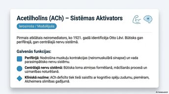 Prezentācija 'Smadzeņu ķīmiskā arhitektūra', 5.
