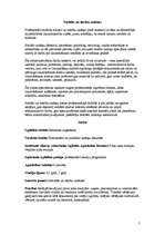 Referāts 'Profesijas: advokāts, tiesnesis, jurists, arhitekts', 5.