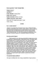 Referāts 'Profesijas: advokāts, tiesnesis, jurists, arhitekts', 8.