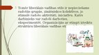 Prezentācija 'Liberālais vadības stils', 8.