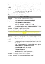 Konspekts 'Sporta stundas mācību programma 7.klasei', 3.