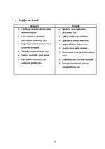 Referāts 'Tirgus analīze ziedu tirdzniecības nozarei', 20.