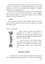 Referāts 'Aptaukošanās: gēnu un vides ietekme', 11.