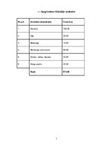 Biznesa plāns 'Kartingu halle Valmierā', 6.