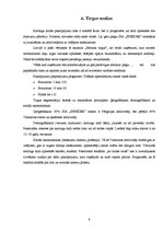 Biznesa plāns 'Kartingu halle Valmierā', 8.