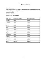 Biznesa plāns 'Kartingu halle Valmierā', 12.