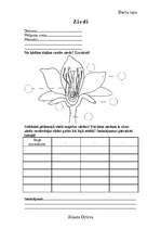 Paraugs 'Darba lapa dabaszinībās', 1.