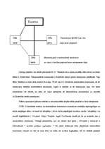 Referāts 'Testamentārā mantošana', 22.