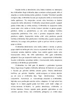 Referāts 'Starptautiskās cilvēktiesības', 2.